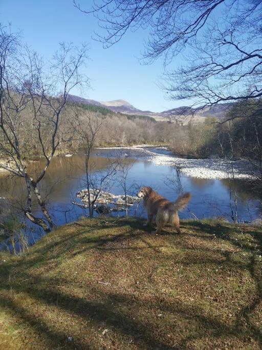 Riverside Lodge In Killiecrankie Bridge of Tilt Exterior foto